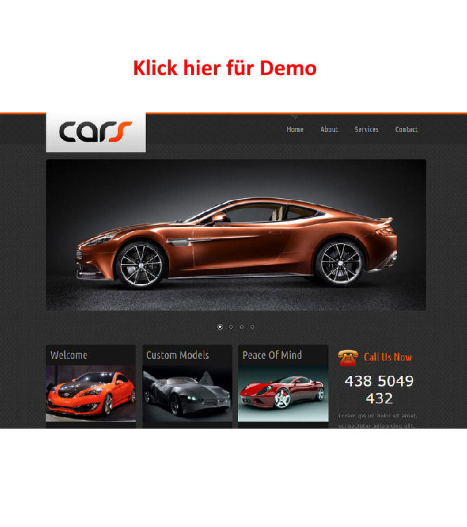 Single Product Image