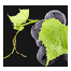 image-wein