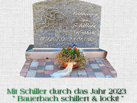 schiller image